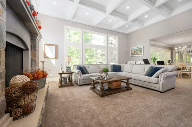 Updated Old World interior design — Lisa Marie Design Co. — image 13